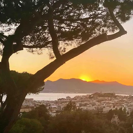 Villa Sur Les Hauteurs De Maison Vue Sur La Baie Cannes