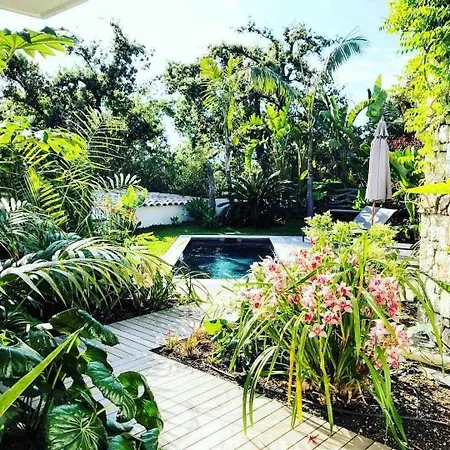 Villa Sur Les Hauteurs De Maison Vue Sur La Baie