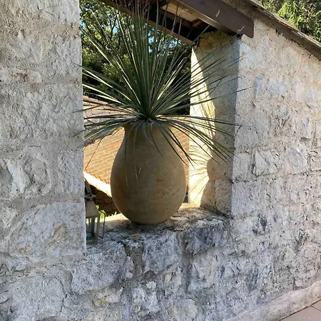 Sur Les Hauteurs De Maison Vue Sur La Baie *